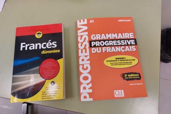 libros-francesD5904526-ACE1-7D17-205E-BD3D5808872C.jpg